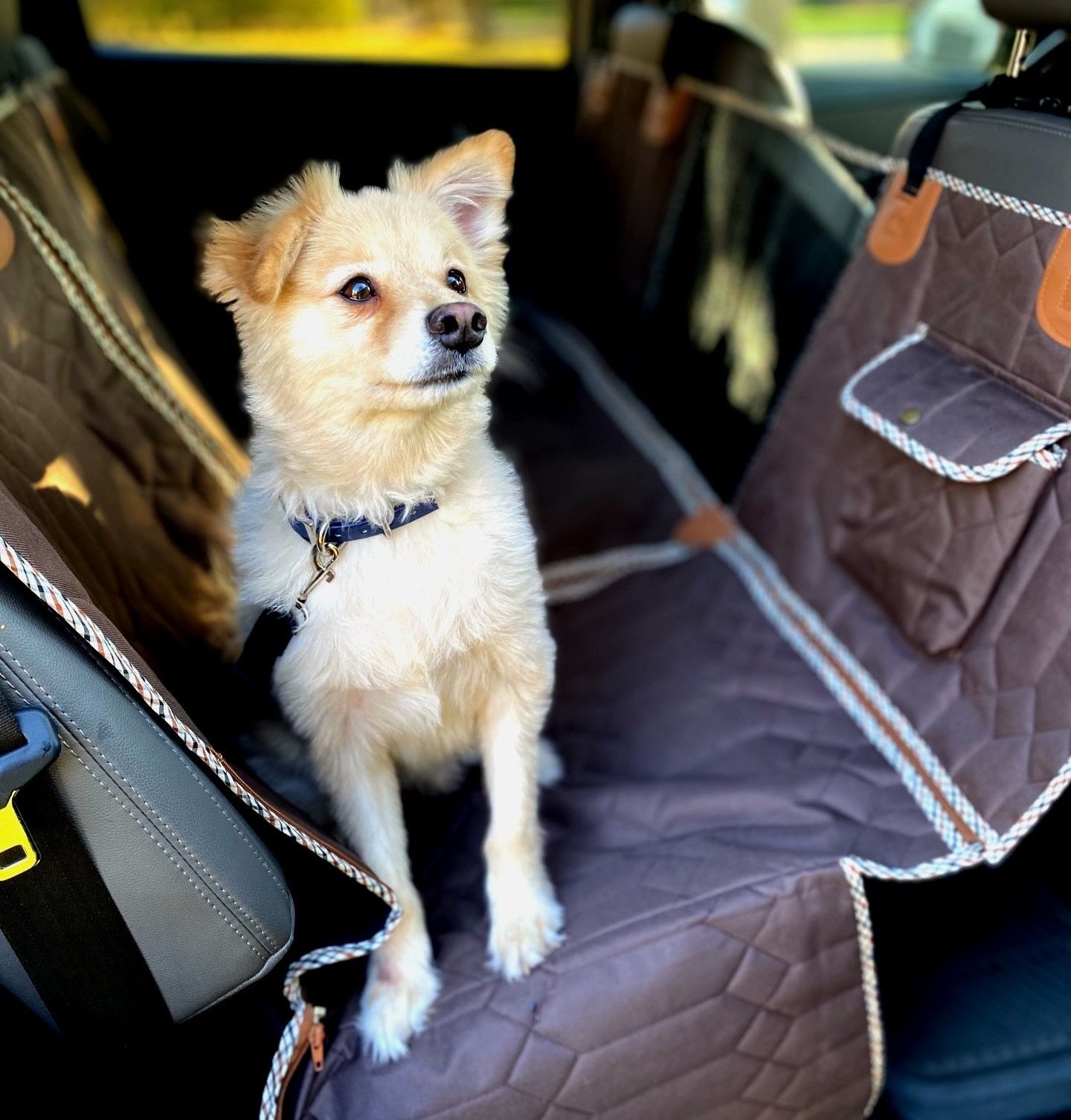 Heavy-duty Waterproof Dog Car Seat Cover w/ Mesh Window & Storage Pocket