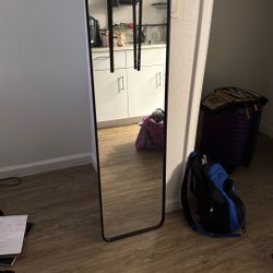 Door Mirror 