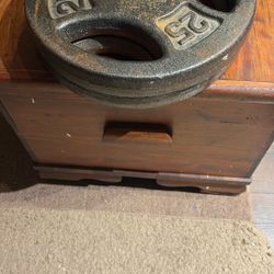Pair 25/pound Free Weight plates