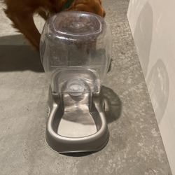 Self Pour Water Bowl For Dogs 