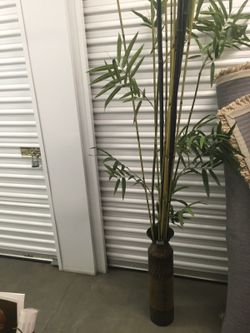 Bamboo and vase
