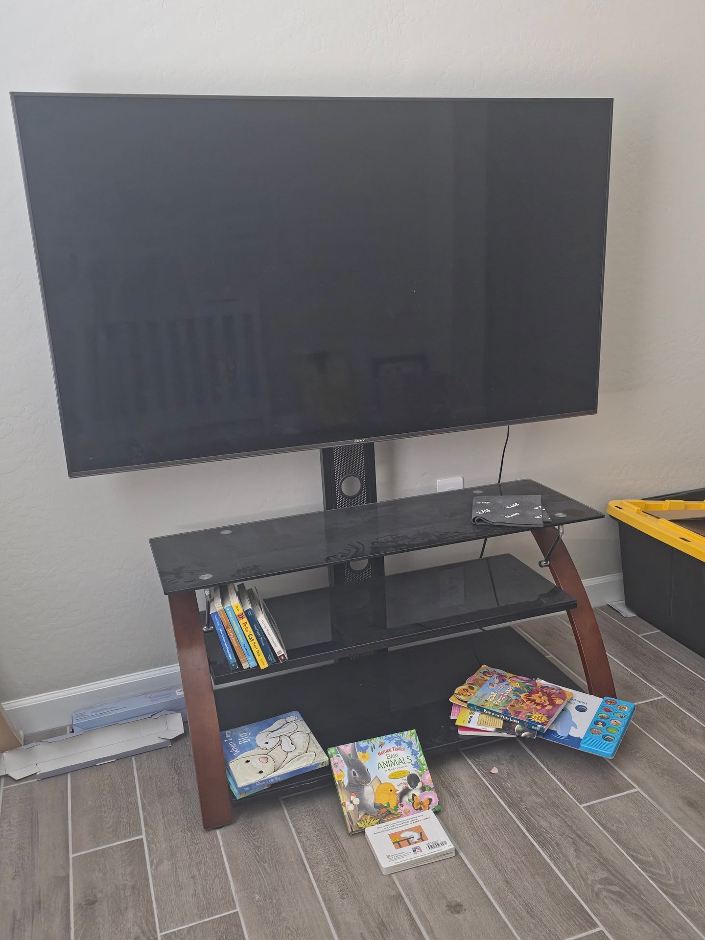 Sony 65inch And TV Stand