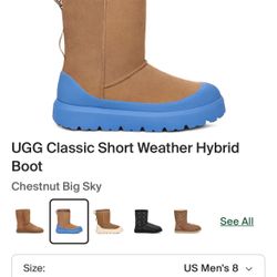 Men Ugg Boots 