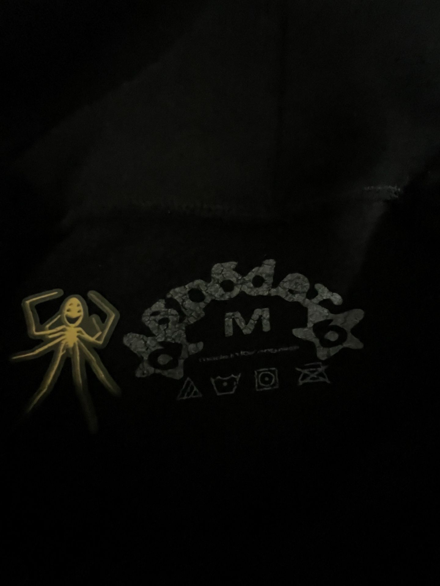 Spider Hoodie