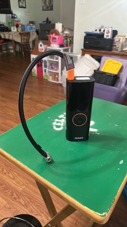 Portable air pump and light