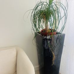 Chocolate Brown Ceramic Planter 