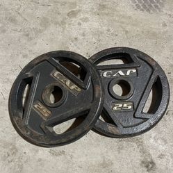 Pair Cap 25 Lb Weighted Plates 