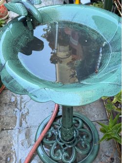 Birdbath
