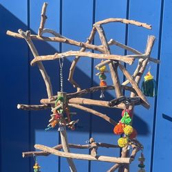 African Grey - Amazon Perch Tree … The Perfect Place For the Mr feathers Of The Household !! 👍🏼👍🏼