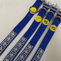 New Classy Blue Dog Collars