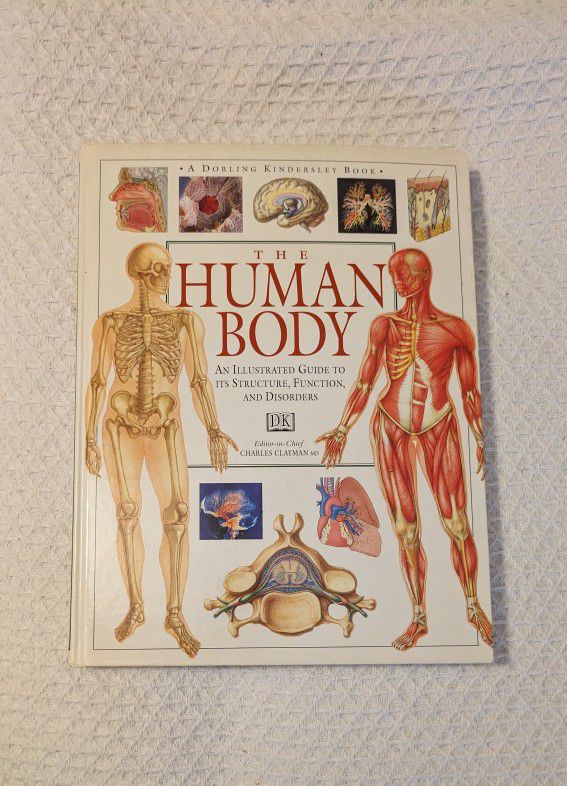 Book The Human Body Illustrated Guide Hardcover For Sale In Brandon Fl