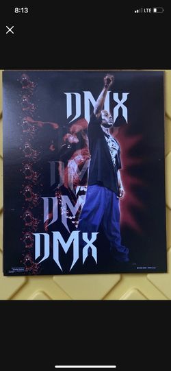 8x10 DMX Portrait