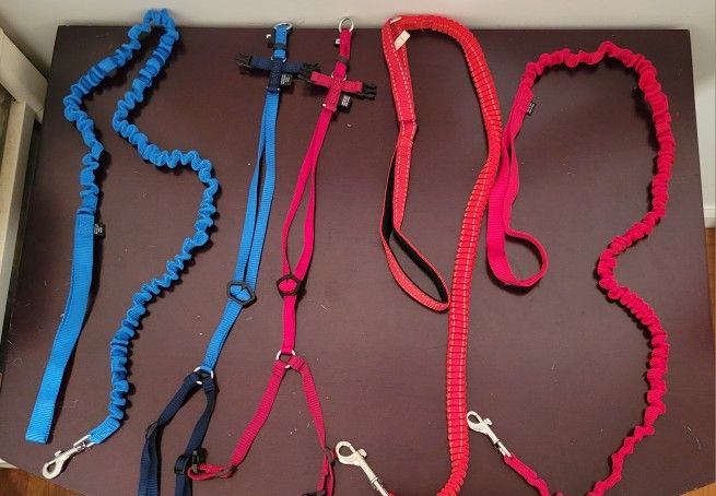 2 petsafe cat harnesses+leashes