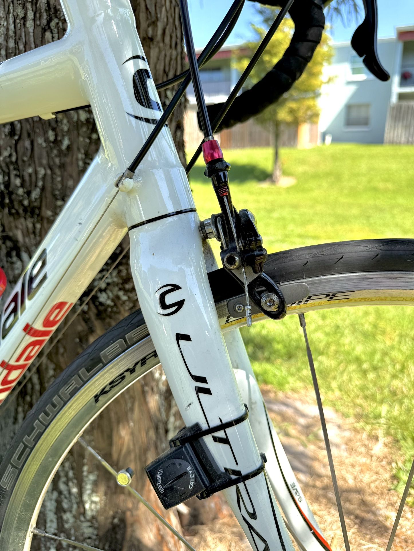 Cannondale synapse