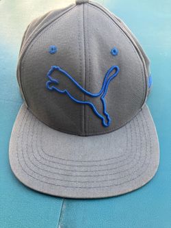 Puma hat
