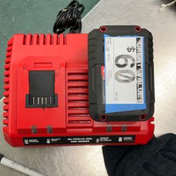 BATTERY AND CHARGER