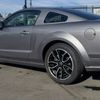 That Mustang Guy