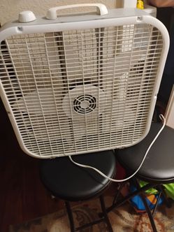 Fan