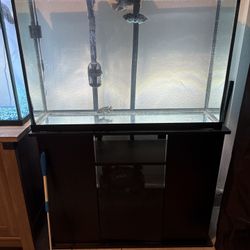 45 Gallon Aquarium Complete Setup with Fluval FX2 Filter 