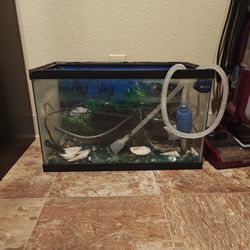 10 Gallon Fish Tank w Supplies 