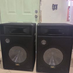 Digital Audio Speaker