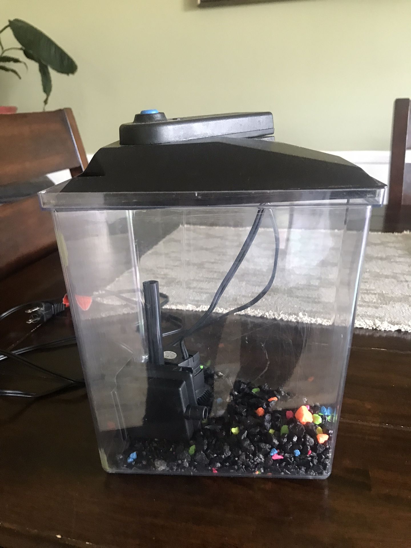 1 Gallon Fish Tank
