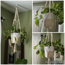 Hand Made Macrame Planter Hanger