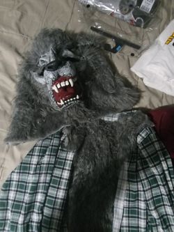 Holloween Costume