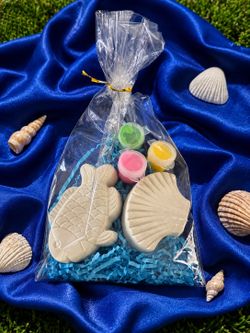 Beach painting kit