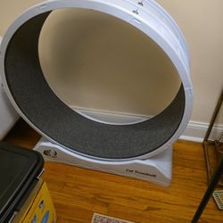 Cat Treadmill