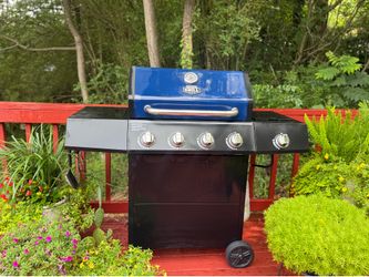 Outdoor gas grill