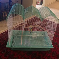 Bird Cage