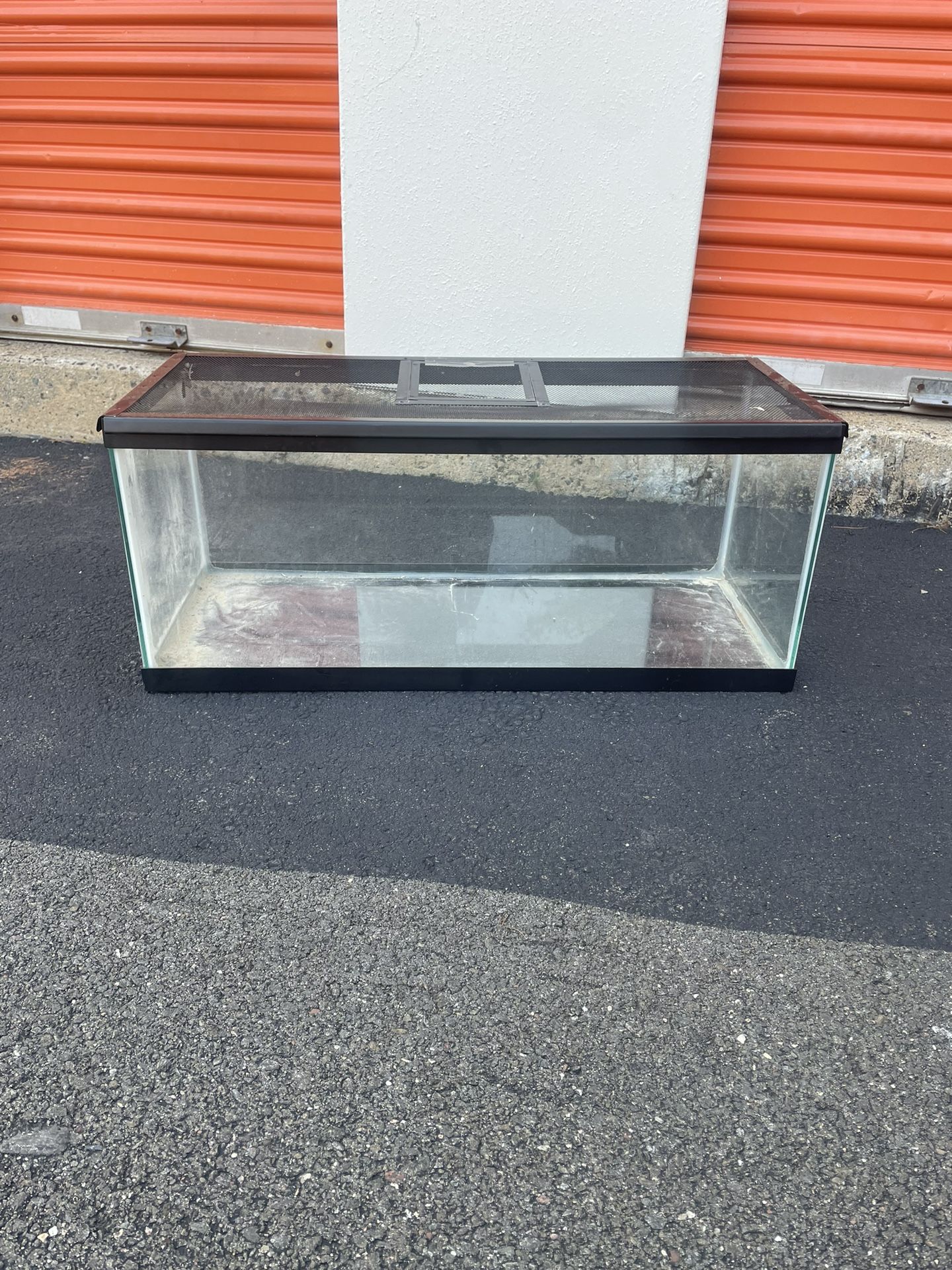 20 gallon tank