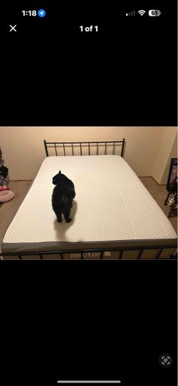 Queen bed frane /queen mattress