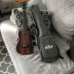 🎶  Kala Solid Body Electric Tenor Ukulele – Striped Ebony Finish