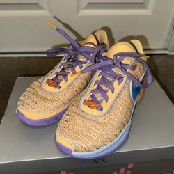 Lebron XX Basketball Shoes