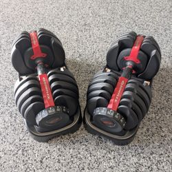 Bowflex Dumbbells Workout Weights Set