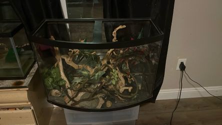 Large Tank