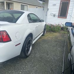2004 Mustang V6