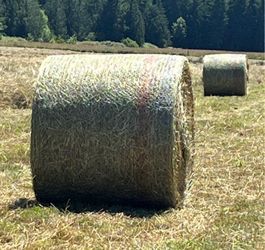 2026 Premium Round Hay Bales - DELIVERED