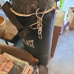 Everlast Heavy Bag 100lb
