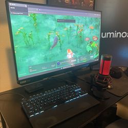 Gaming Monitors / Setup