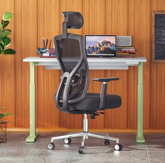 Ergonomic Office Chair