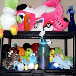 Stuffed Animals/ Brand New Water Bottles/ Bluetooth Speaker