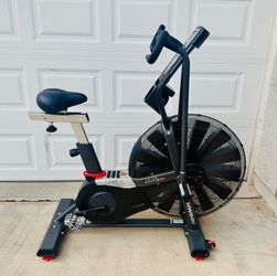 Schwinn Airdyne Pro Assault Bike