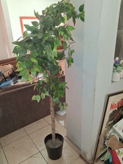 Nice 6 Foot Artificial Plant