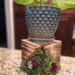 Custom Plant Stand 6x6x6