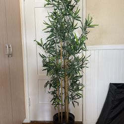 Free IKEA Plastic Bamboo Tree Plant,  70”