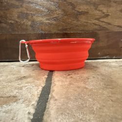 Dog Bowl, Pets Bowl (Pack Of 5)