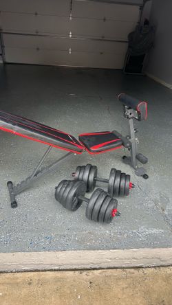 Workout bench + dumbbells
